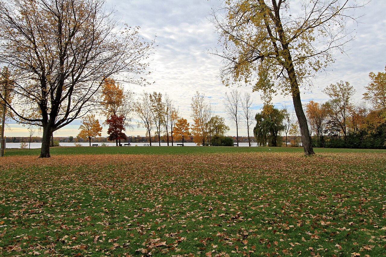 Le parc Bertold en automne, arbres matures en bordure du lac Saint-Louis