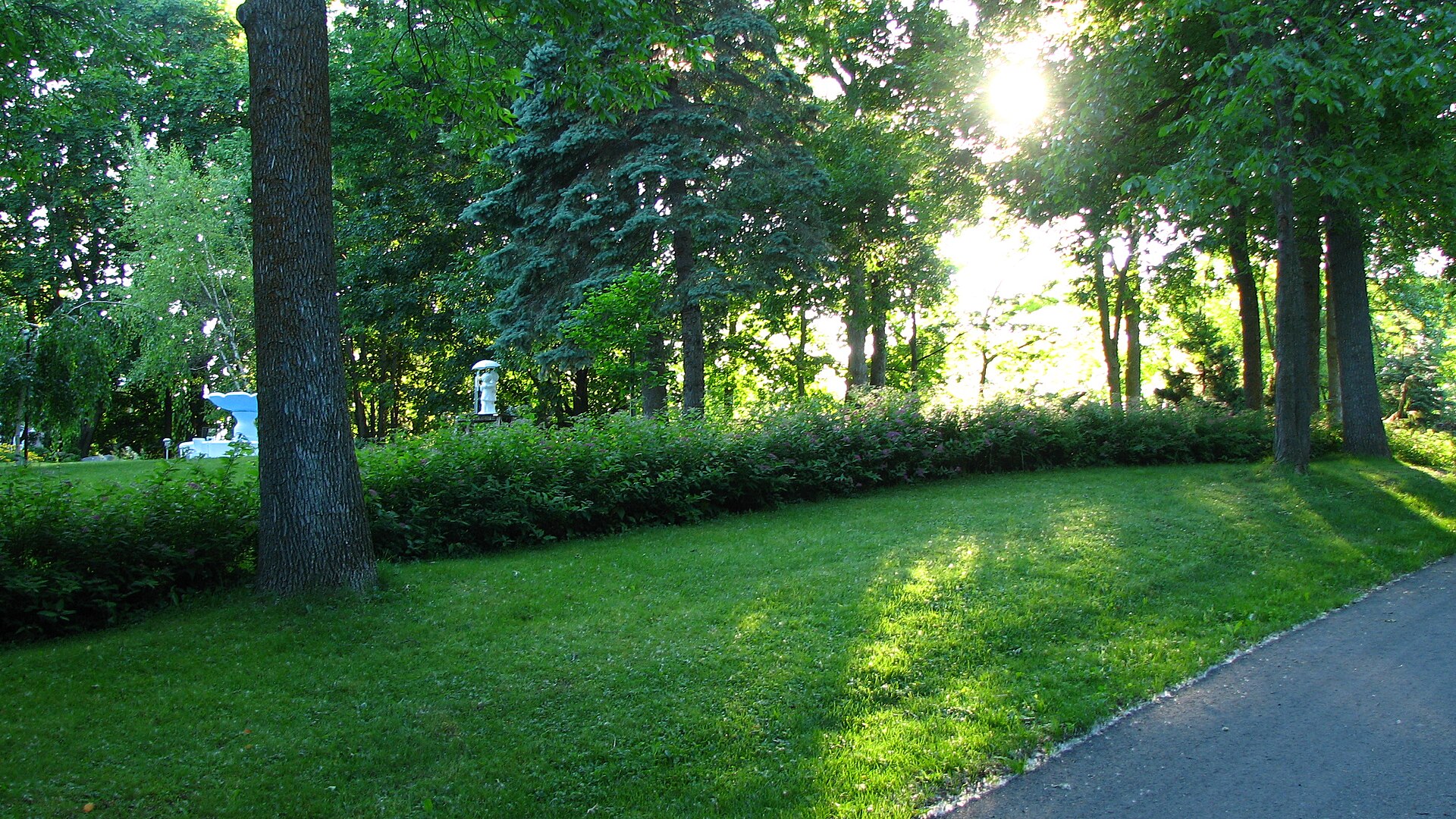 Une avenue résidentielle bordée de grands arbres à Bois-des-Filion