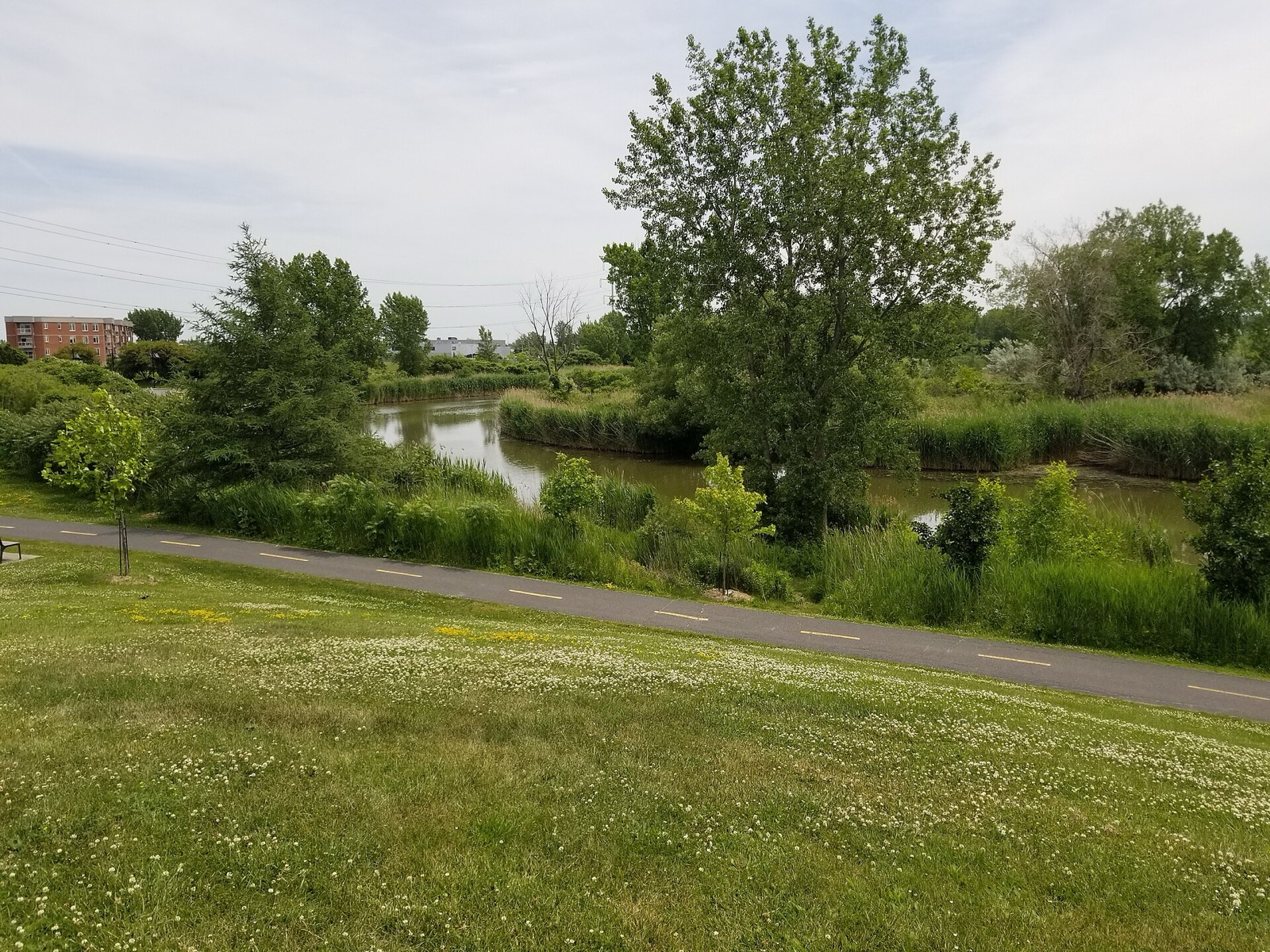 La rivière Saint-Jacques au parc Radisson, à Brossard