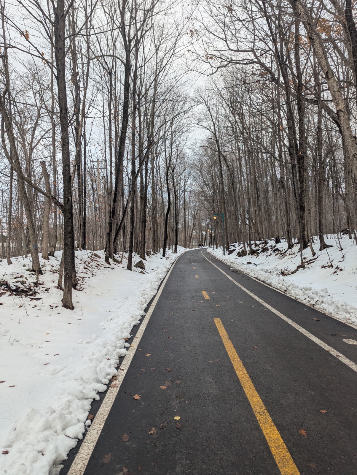 La piste cyclable La Vagabonde traverse un boisé à Deux-Montagnes, à côté de la station du REM