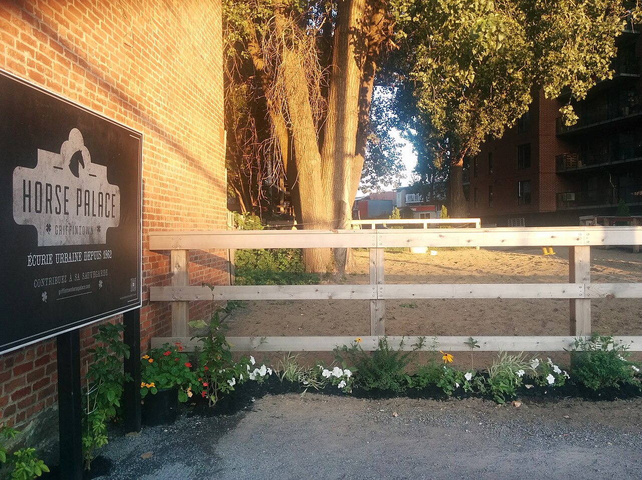 L'enseigne du Horse Palace, écurie urbaine depuis 1862
