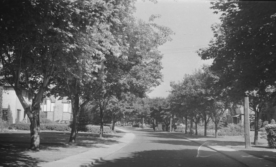 Rue résidentielle courbe et arborée de Hampstead dans les années 1940, photographiée par Conrad Poirier