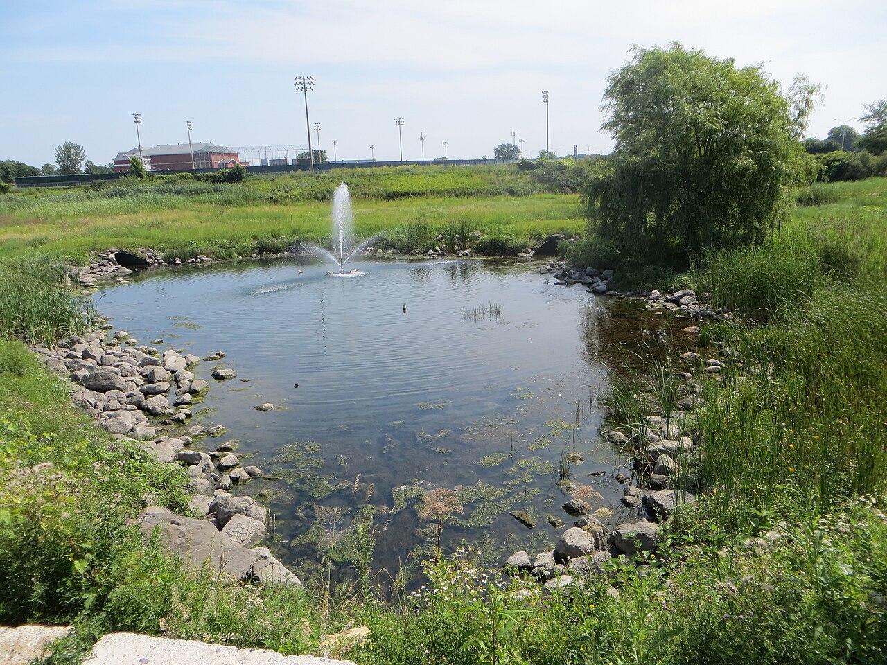Étang et fontaine dans un parc de Kirkland