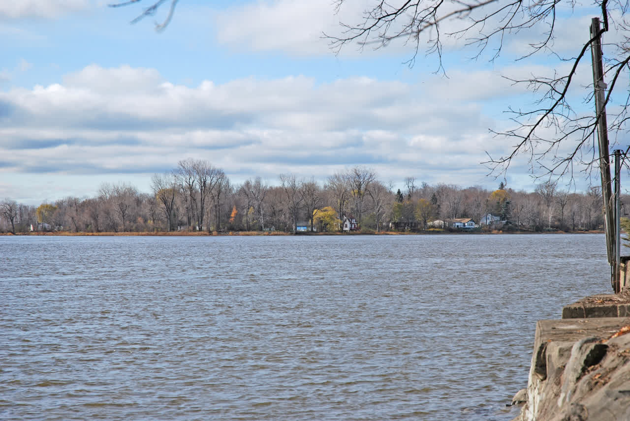 Chalets de L'Île-Dorval aperçus entre les arbres depuis la rive de Dorval