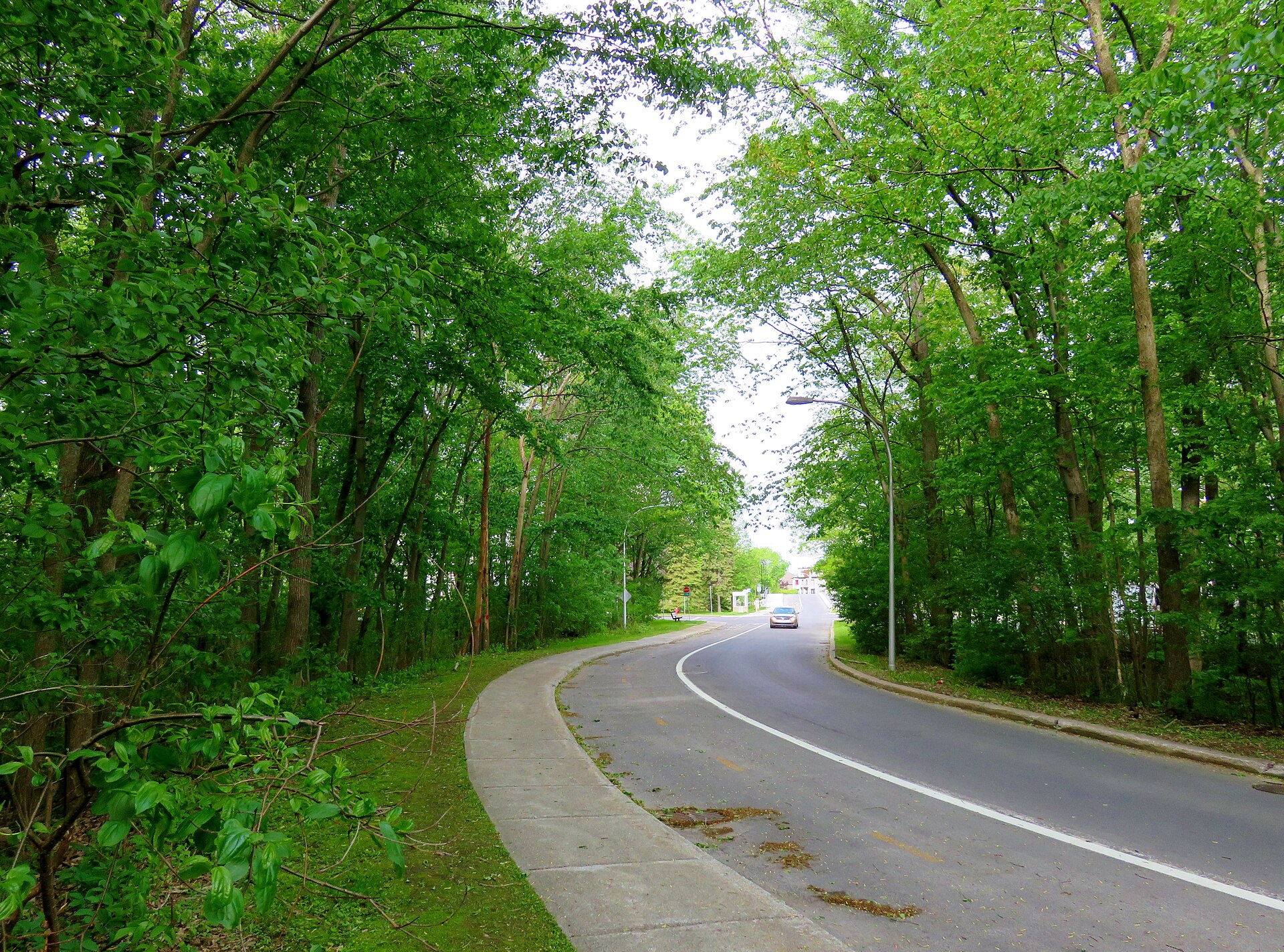 La promenade des Îles, bordée d'arbres, sur l'île Paton à Laval