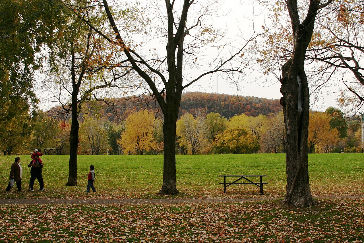 Le parc Jeanne-Mance aux couleurs d'automne, face au mont Royal