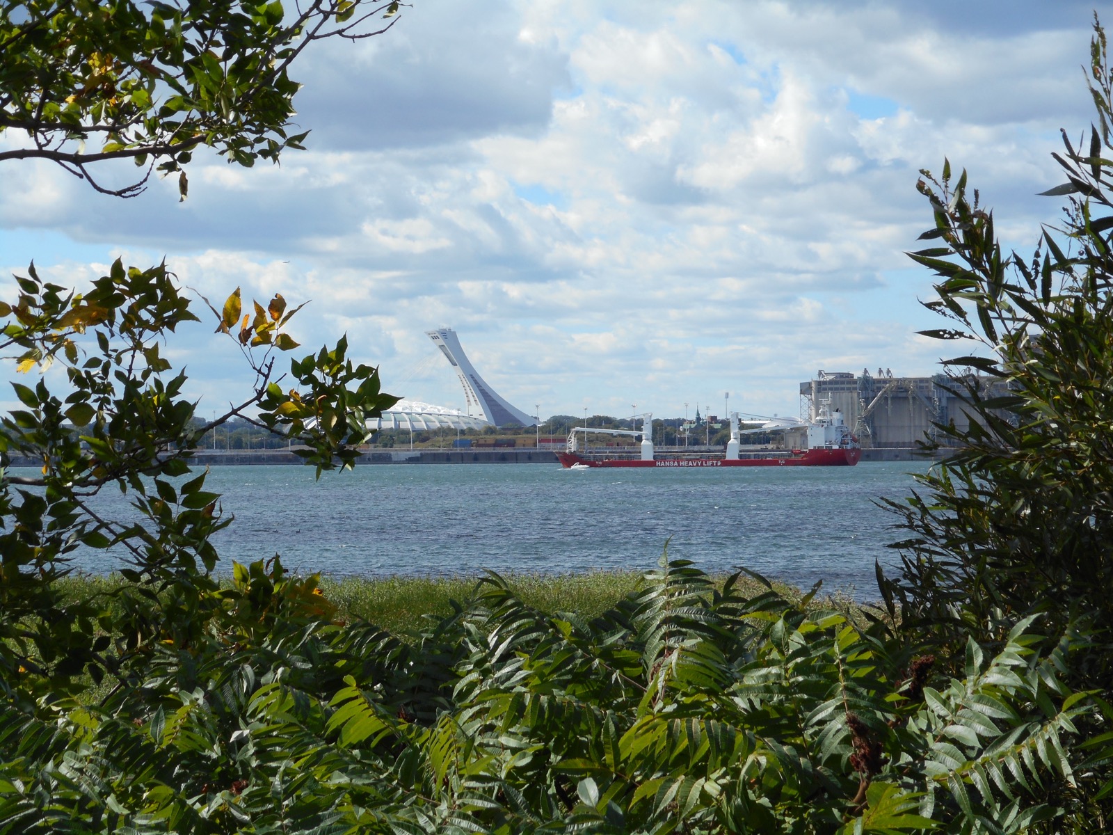 Le fleuve Saint-Laurent et le Stade olympique vus du parc Marie-Victorin