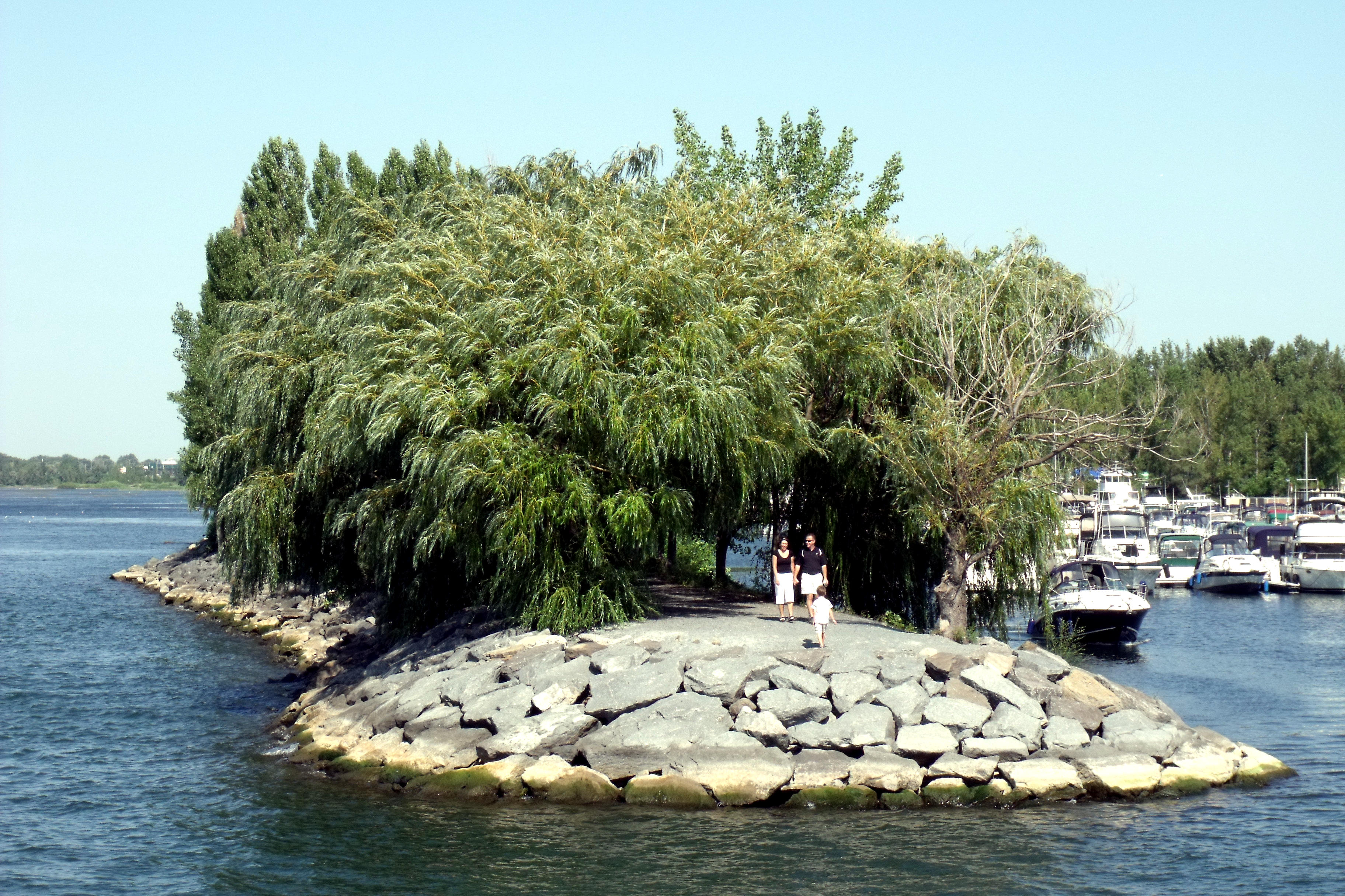 L'entrée du port de plaisance Réal-Bouvier à Longueuil, avec ses saules et ses bateaux