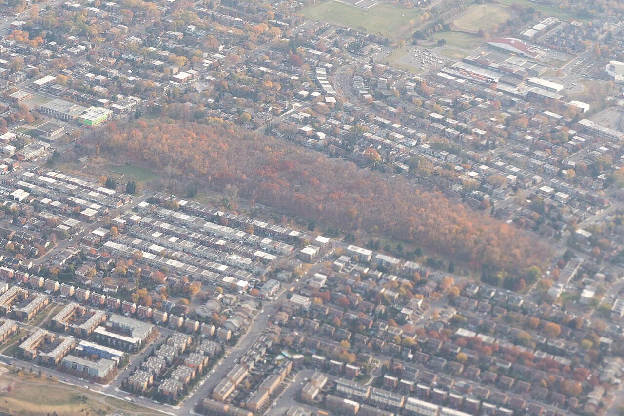Vue aérienne du parc Thomas-Chapais, boisé urbain entouré du secteur résidentiel de Mercier