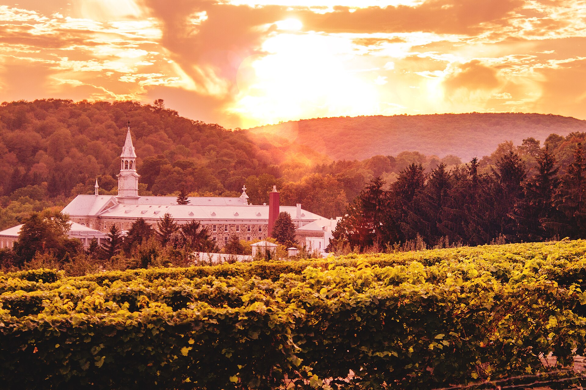 L'abbaye d'Oka au coucher du soleil, vue depuis les vignes, avec les collines derrière