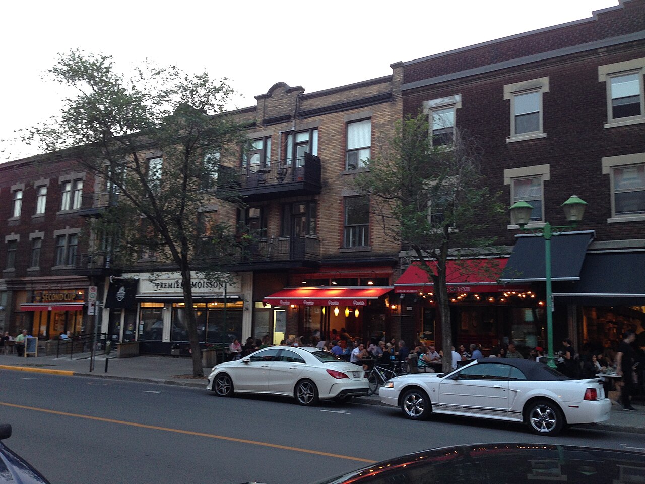 Terrasses et restaurants animés en soirée sur l'avenue Bernard, à Outremont
