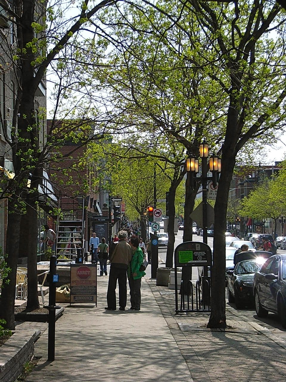 L'avenue Laurier, rue commerçante bordée d'arbres avec boutiques et piétons