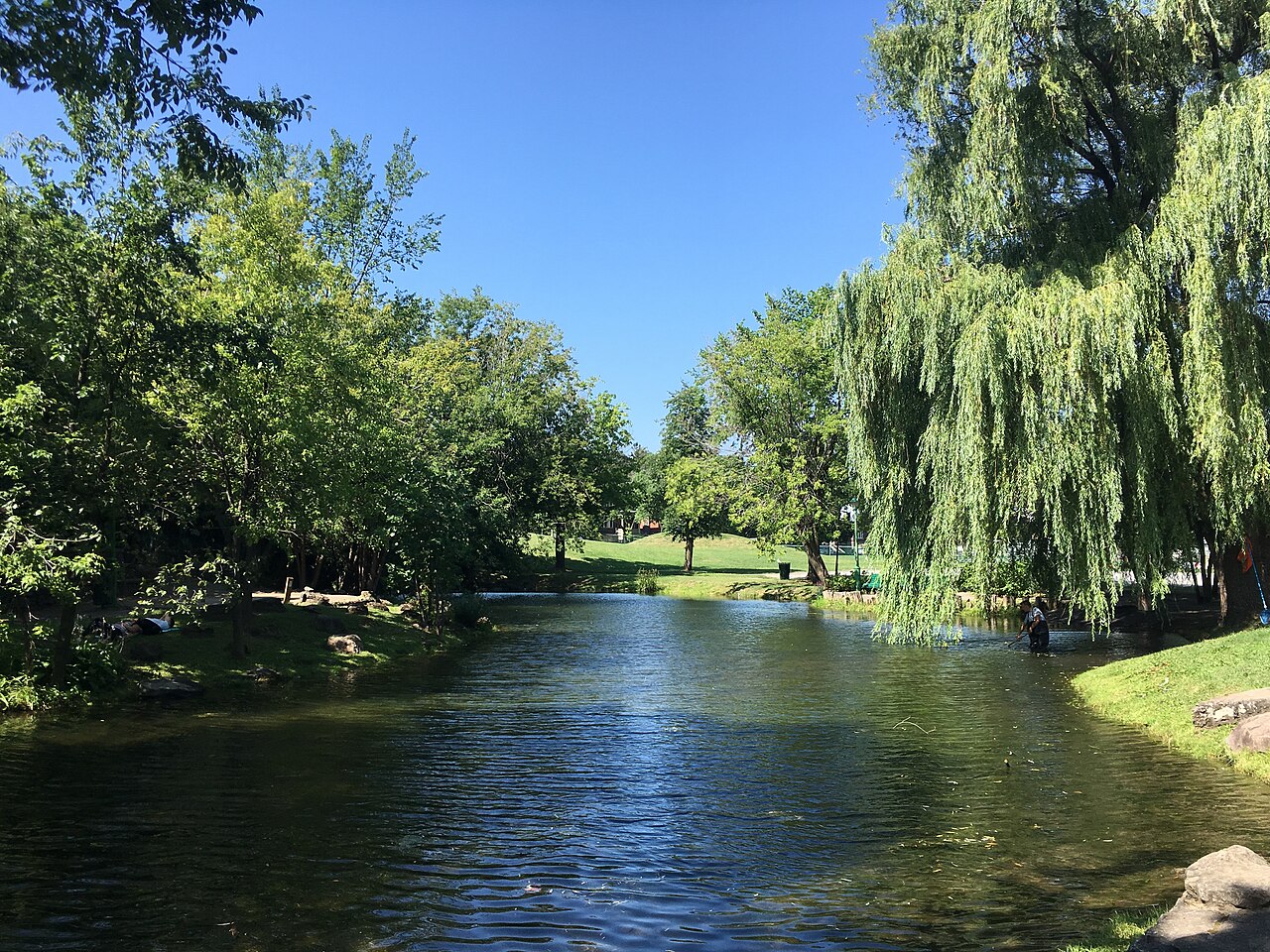Étang et saules pleureurs au parc Beaubien, à Outremont, en été