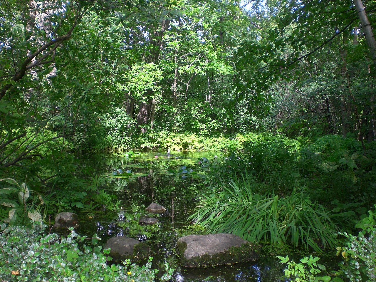 Étang entouré de verdure au parc-nature du Bois-de-Liesse