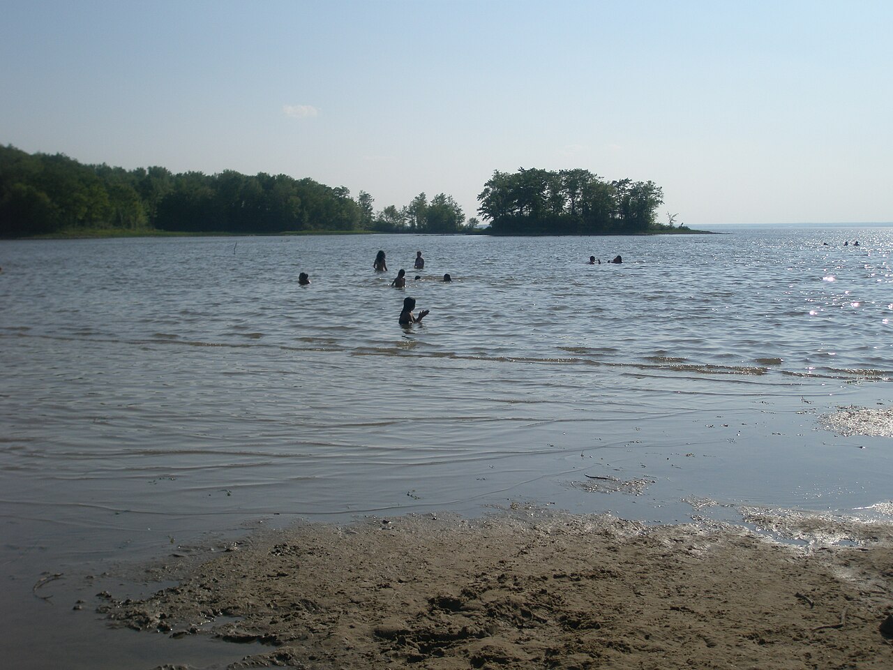 Baigneurs à la plage du parc-nature du Cap-Saint-Jacques, en été