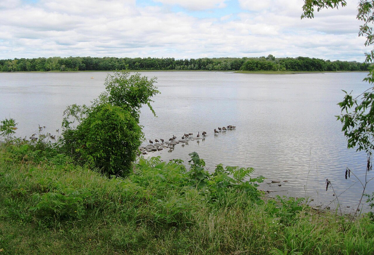La rivière des Prairies vue du parc-nature du Cap-Saint-Jacques