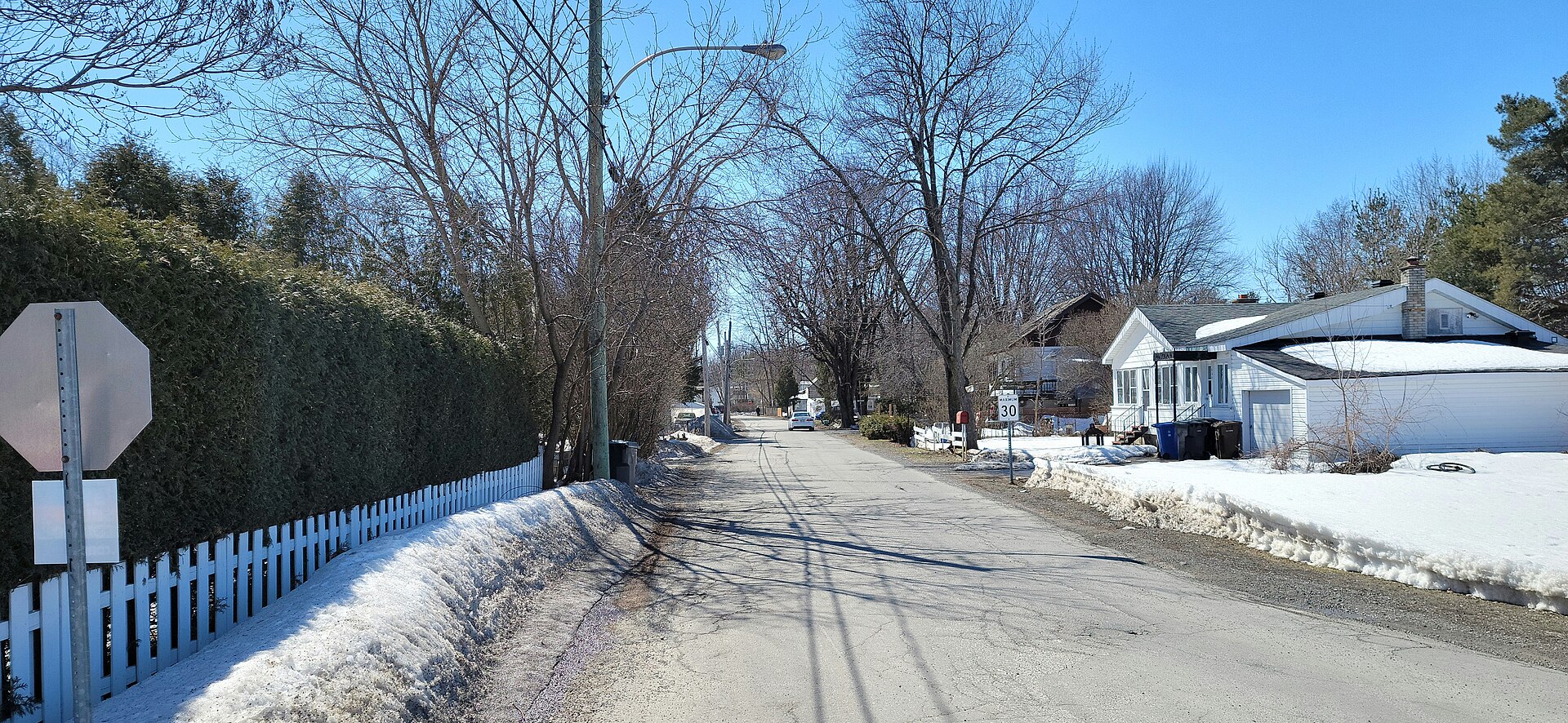 Rue résidentielle bordée d'anciens chalets convertis, près du boulevard Proulx à Pointe-Calumet