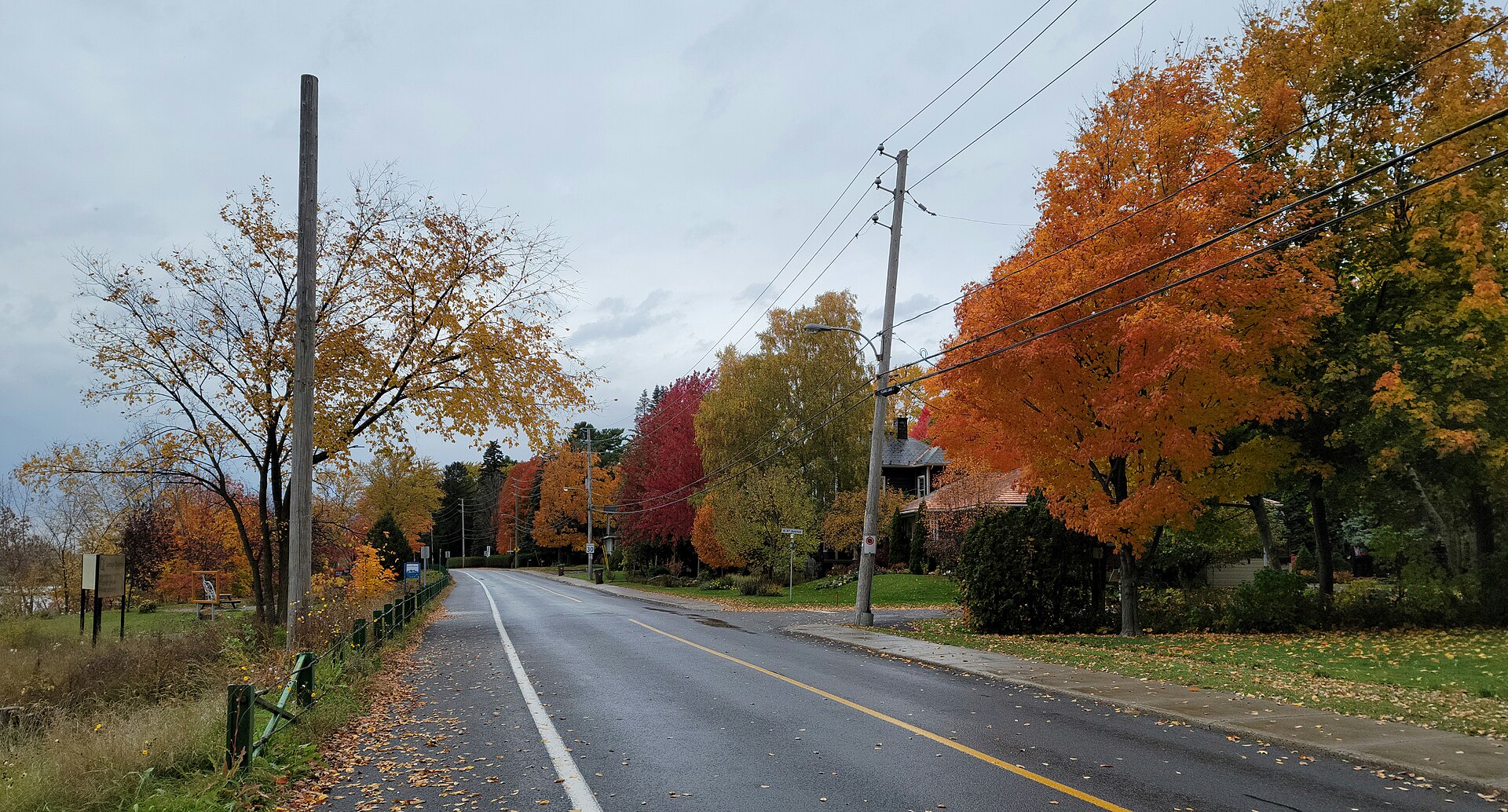 La 1re Rue de Richelieu aux couleurs d'automne, entre les maisons et le parc linéaire au bord de la rivière