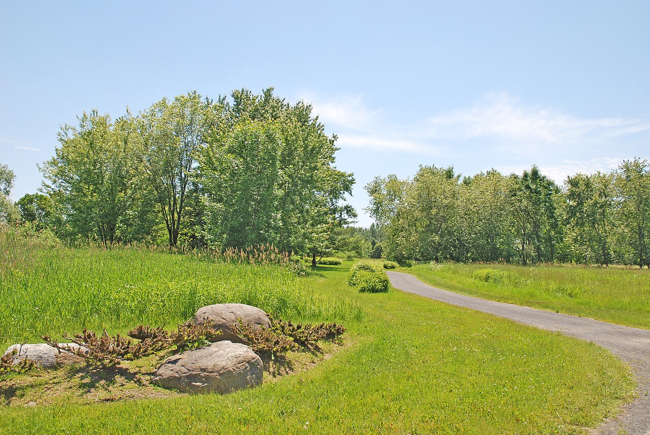 Sentier du parc-nature de la Pointe-aux-Prairies en été
