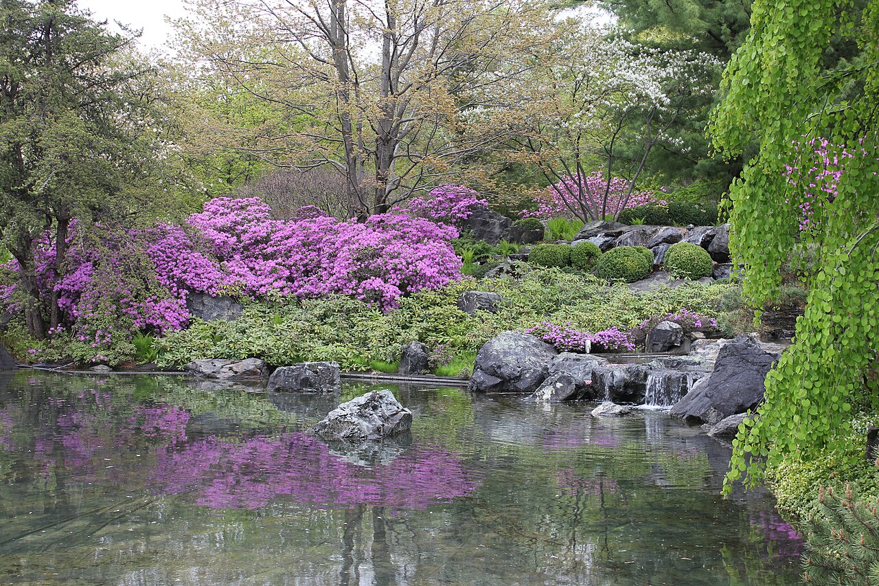 L'étang et le pavillon du Jardin japonais au Jardin botanique de Montréal