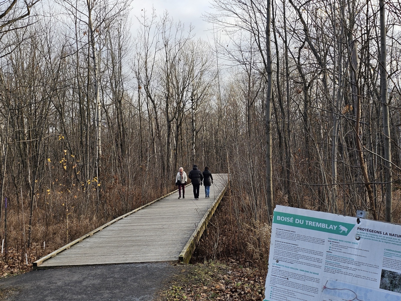 Passerelle de bois dans le boisé Du Tremblay à Longueuil