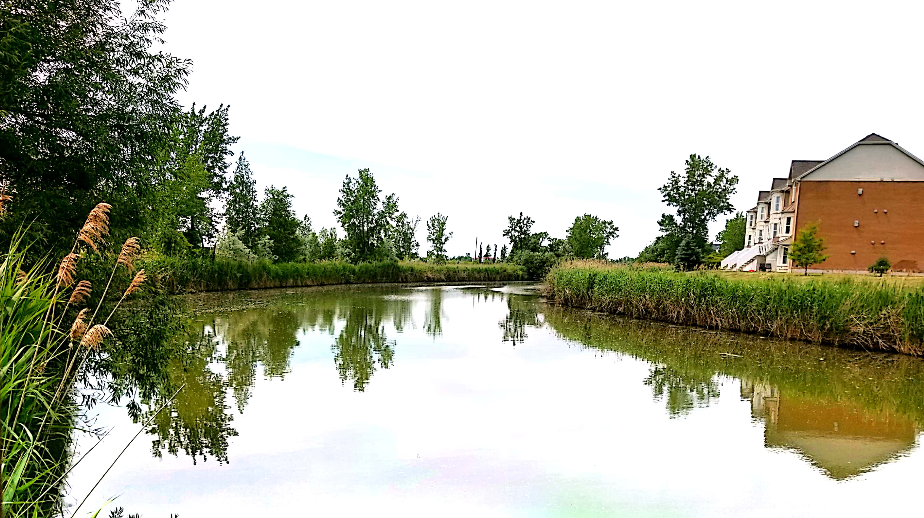 La rivière Saint-Jacques, ici en aval au parc Radisson, entre Brossard et La Prairie