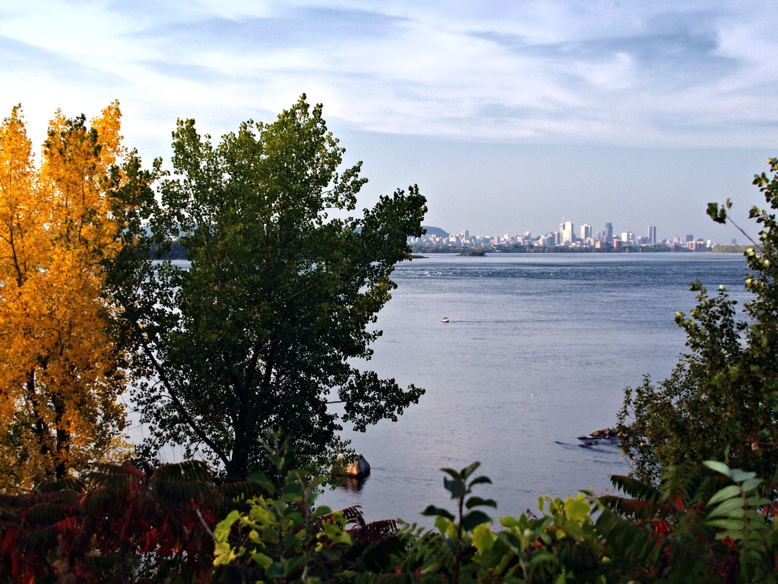 La vue sur le centre-ville de Montréal et le fleuve Saint-Laurent depuis les berges de Sainte-Catherine