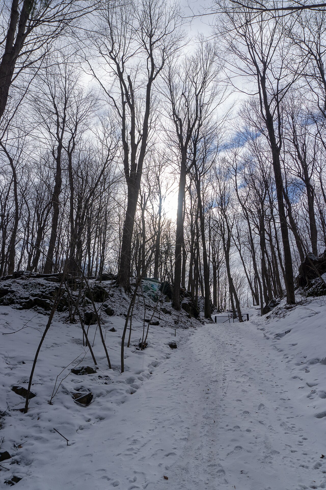 Sentier enneigé menant du côté de Sainte-Julie vers le parc national du Mont-Saint-Bruno