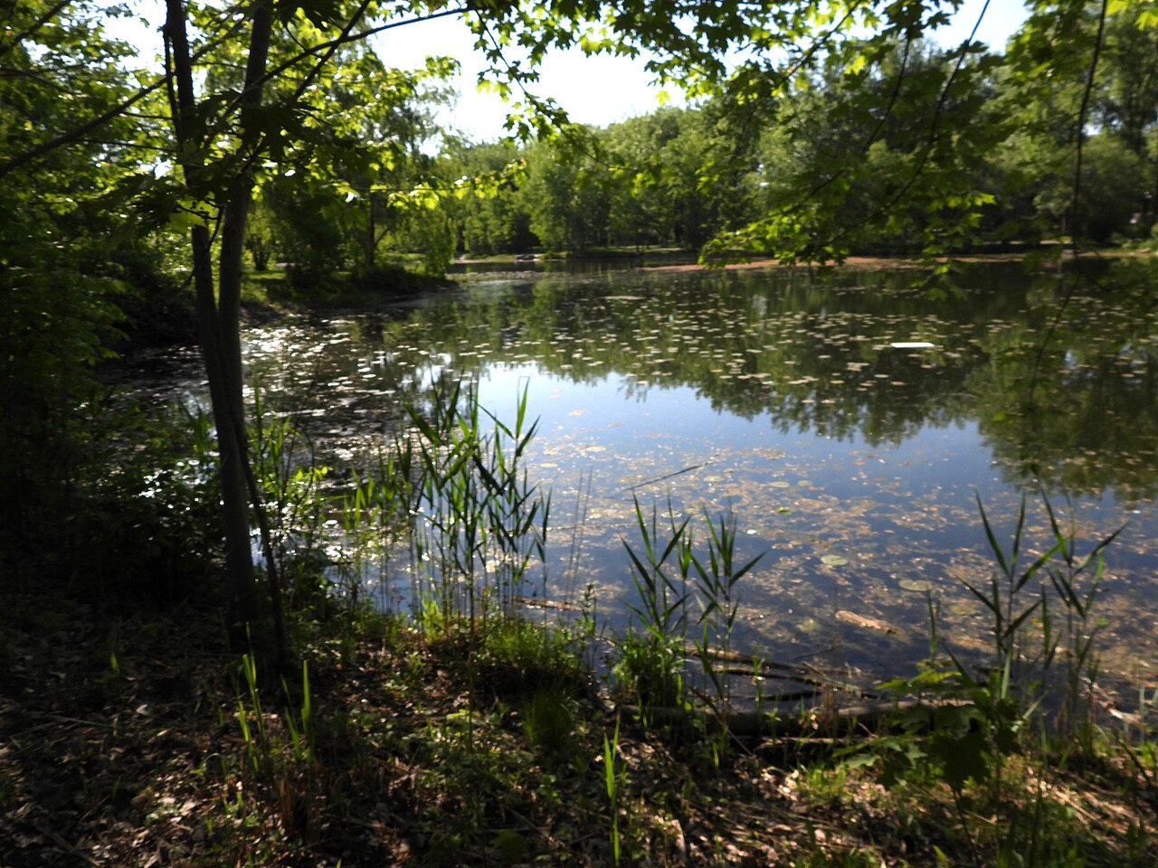 Le parc Angrignon